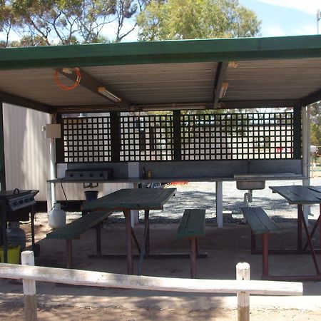Acclaim Gateway Caravan Park Dundas Exteriör bild